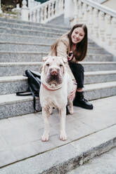 Pet standing on steps with woman sitting in background - EBBF03506