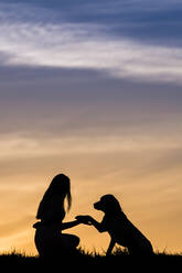 Junge Frau mit Labrador Retriever bei Sonnenuntergang - STSF02952