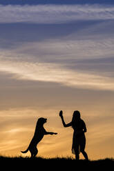 Junge Frau spielt mit Labrador Retriever bei Sonnenuntergang - STSF02953