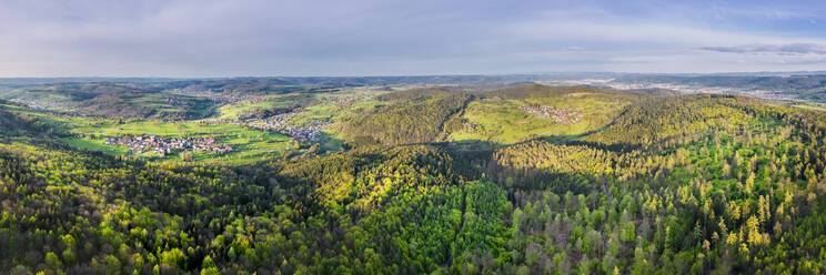 Hügel mit Bäumen im schwäbischen Wald, Baden-Württemberg, Deutschland - STSF02957