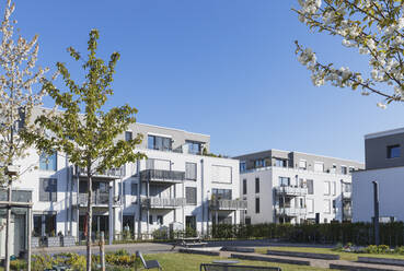 Deutschland, Nordrhein-Westfalen, Köln, Moderne Wohnblocks mit Balkonen und gemeinschaftlichem Gartenbau - GWF07013