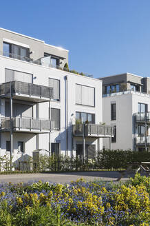 Deutschland, Nordrhein-Westfalen, Köln, Moderne Wohnblocks mit Balkonen und gemeinschaftlichem Gartenbau - GWF07014