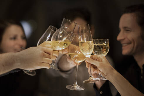 Männliche und weibliche Freunde stoßen mit Weingläsern bei einer Geburtstagsfeier zu Hause an - MJRF00431