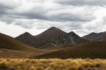 Brown landscape of Lindis Pass - WVF02006