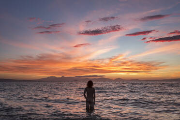 New Zealand, North Island, Rear view of naked man standing in sea at sunset - WVF02020