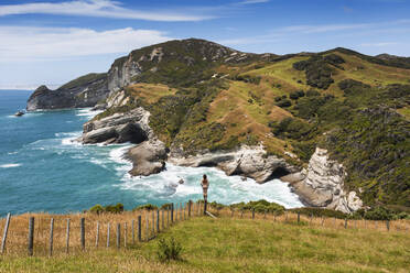 Neuseeland, Südinsel, Rückansicht eines Mannes mit Blick auf Cape Farewell - WVF02035