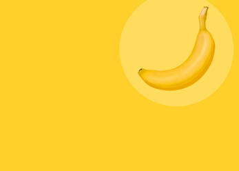 Studioaufnahme einer einzelnen Banane, die vor einem gelben Hintergrund liegt - FLMF00411