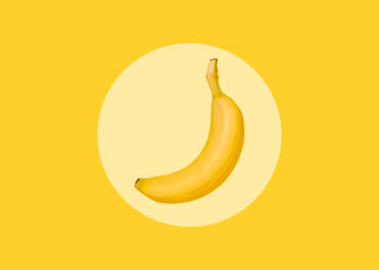 Studioaufnahme einer einzelnen Banane, die vor einem gelben Hintergrund liegt - FLMF00412