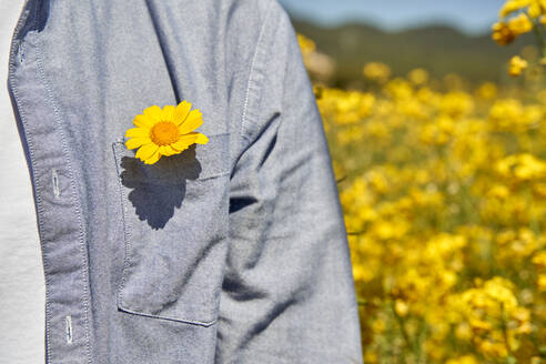 Yellow flower in shirt pocket during sunny day - VEGF04512