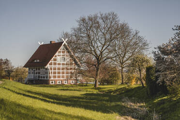 Germany, Altes Land, Idyllic rural scene with farmhouse in spring - KEBF01931