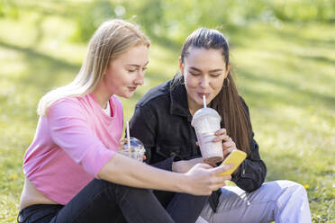 Young woman showing mobile phone to female friend while having milkshake at park - WPEF04519