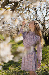 Beautiful woman touching cherry flowers during springtime - MAUF03770