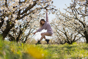 Mid adult woman hanging on cherry tree in orchard - MAUF03773
