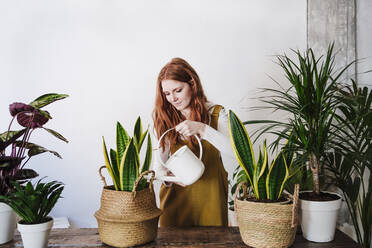 Redhead woman pouring water in potted plant at home - EBBF03576