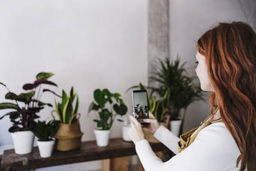 Rothaarige Frau fotografiert zu Hause Topfpflanzen mit dem Handy - EBBF03582