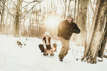 Playful man pulling woman sitting on sled in forest - MJRF00498