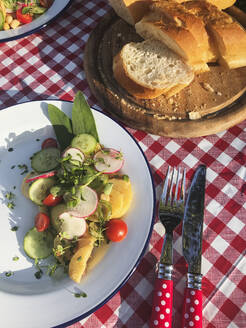 Teller mit Essen liegen auf einem Picknicktisch im Freien, der mit einer karierten Tischdecke bedeckt ist - GWF07023