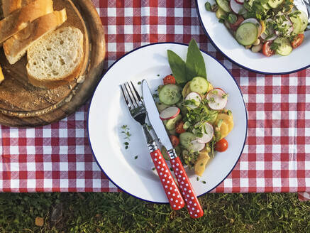 Teller mit Essen liegen auf einem Picknicktisch im Freien, der mit einer karierten Tischdecke bedeckt ist - GWF07024