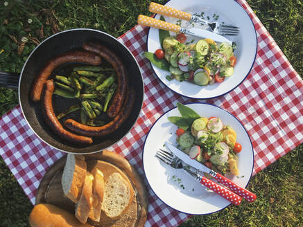 Teller mit Essen liegen auf einem Picknicktisch im Freien, der mit einer karierten Tischdecke bedeckt ist - GWF07025