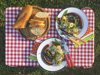 Teller mit Essen liegen auf einem Picknicktisch im Freien, der mit einer karierten Tischdecke bedeckt ist - GWF07026