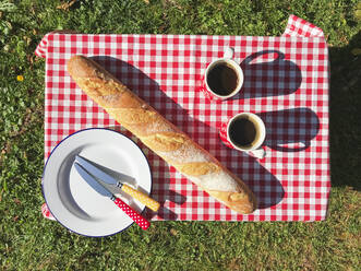 Ein leerer Teller, frisches Baguette und zwei Tassen Kaffee liegen auf einem Picknicktisch im Freien - GWF07027