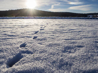 Footprints on snow during sunset - HUSF00225