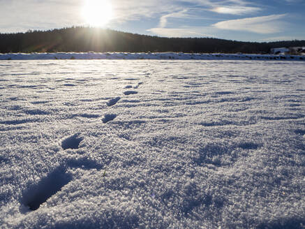 Fußabdrücke auf Schnee bei Sonnenuntergang - HUSF00225