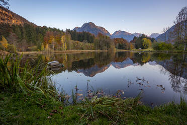 Bäume und Berge spiegeln sich im Moorweiher - DLF00075