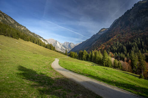 Leerer Wanderweg im Oybachtal - DLF00078