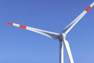 Windturbine vor strahlend blauem Himmel - MMAF01432