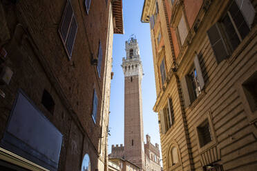 Italien, Toskana, Siena, Blick auf den zwischen zwei Stadthäusern stehenden Torre del Mangia - MAMF01836