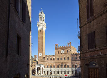 Italien, Toskana, Siena, Klarer Himmel über Palazzo Pubblico und Torre del Mangia - MAMF01839