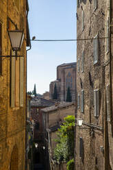 Italien, Toskana, Siena, Historische Stadthäuser entlang der Altstadtgassen - MAMF01847