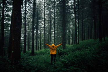 Unbekannter Tourist in Oberbekleidung mit Kapuze steht auf einem Weg zwischen Pflanzen und hohen Bäumen im Wald - ADSF24619