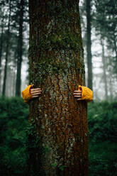 Crop unrecognizable tourist embracing tree with dry rough bark during trip in woods on blurred background - ADSF24622