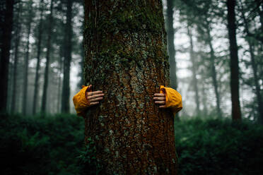 Crop unrecognizable tourist embracing tree with dry rough bark during trip in woods on blurred background - ADSF24623