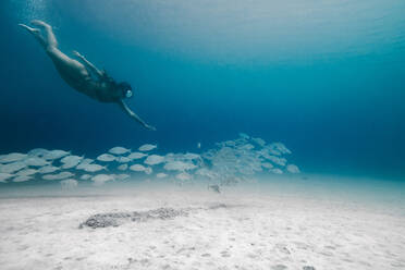 Side view full body of female traveler wearing diving mask swimming underwater near school of fish and sandy bottom - ADSF24666