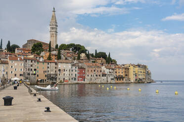 Kroatien, Gespanschaft Istrien, Rovinj, Hafen der Küstenstadt im Sommer - TAMF02998