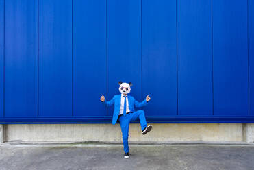 Mann in leuchtend blauem Anzug und Pandamaske steht auf einem Bein vor einer blauen Wand - OIPF00693