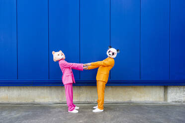 Man and woman wearing vibrant suits and bear masks holding hands against blue wall - OIPF00700