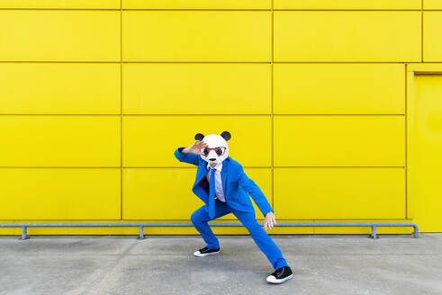 Mann in leuchtend blauem Anzug und Panda-Maske steht in Kampfstellung vor einer gelben Wand - OIPF00710