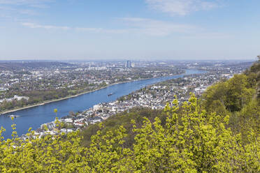 Deutschland, Nordrhein-Westfalen, Blick auf den Rhein, Königswinter, Bonn und Köln vom Drachenfels aus im Frühling - GWF07029