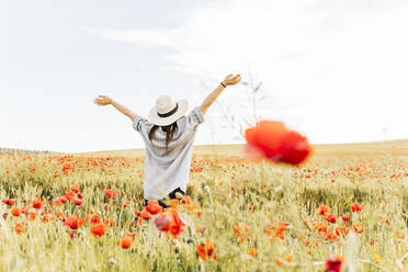 Mid adult woman wearing hat standing with arms raised in poppy field - MGRF00235