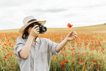 Mittlere erwachsene Frau, die eine Mohnblume durch eine Kamera in einem stehenden Feld fotografiert - MGRF00247