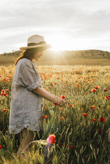 Frau mit Hut pflückt an einem sonnigen Tag eine Blume in einem Mohnfeld - MGRF00255