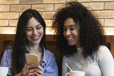 Smiling female friends using smart phone at bar - PNAF01683