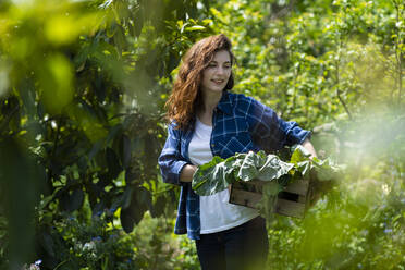 Young woman holding crate with vegetables in garden - SBOF03820