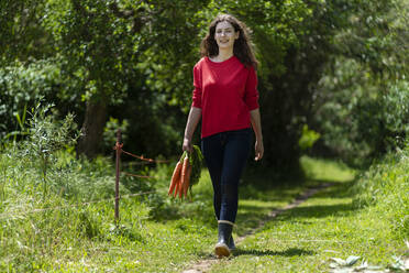 Junge Frau geht im Garten spazieren und hält ein Bündel frischer Karotten in der Hand - SBOF03831