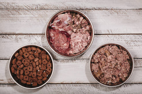 Auswahl zwischen BARF (biologisch artgerechte Rohkost), zubereitetem Dosenfutter und Trockenfutterpellets für die Hundeernährung - MMFF01310