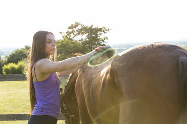 Frau putzt Pferd mit Bürste an einem sonnigen Tag - WPEF04580